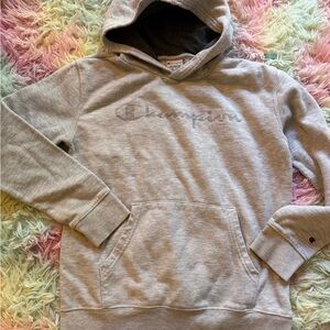 Champion hoodie sweatshirt